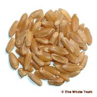 Durum (Semolina) Wheat